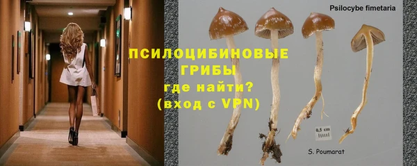 кристаллы Богородицк
